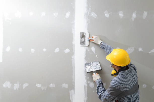 Best Industrial Mold Remediation  in Norlina, NC