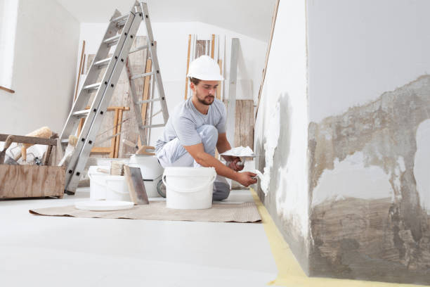 Best Residential Mold Inspection & Testing  in Norlina, NC