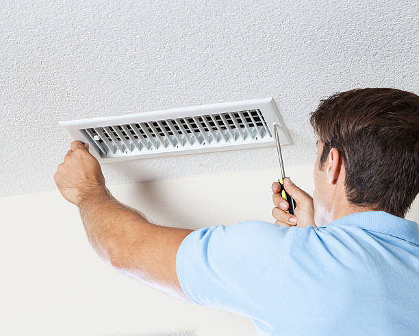 Professional Mold Removal in Norlina, NC